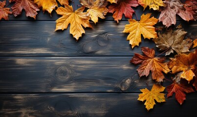 Naklejka na ściany i meble Autumn, fall background, Autumn Trees Leaves color, landscape