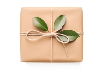Brown Cardboard Carton gift box with ribbon and bow and fresh tropical green leaves on transparent background, png