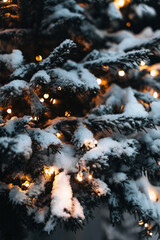 Fir branches in the evening street covered with white snow in the winter season. New Year and Christmas atmosphere and details. Vertical
