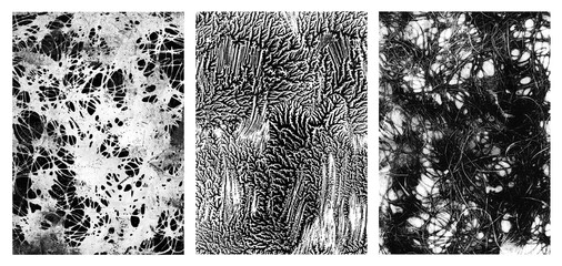 set / collection of three highly detailed organic mono print textures isolated over a transparent background, abstract wabi-sabi black and white backgrounds or overlays, great for collage art, PNG