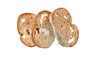 Wheat rye sliced bread with growing mold. Spoiled slices of bread closeup isolated on white...