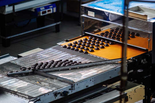 Process of chocolate glazing marshmallows in confectionery on conveyor machine, close up