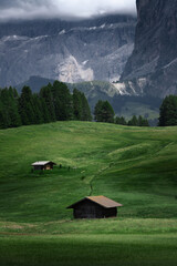 Fototapeta na wymiar Mountain chalets on beautiful green alpine meadows with mountain views 
