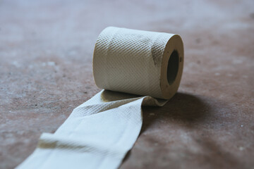 an old toilet paper roll rolled out on the floor