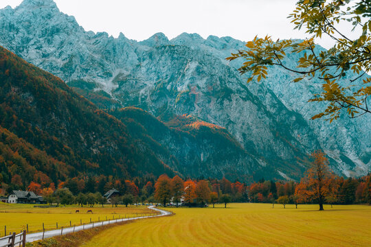 Logar valley or Logarska dolina in the Alps of Slovenia in autumn