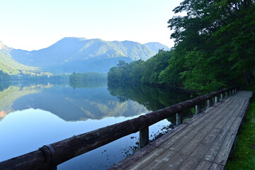 日光湯ノ湖の湖面に反射する湖畔の風景