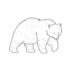 Hand drawn Kids drawing Cartoon Vector illustration bear icon Isolated on White Background