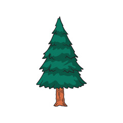 Kids drawing Cartoon Vector illustration pine tree icon Isolated on White Background
