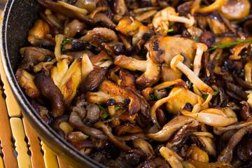 Close up of delicious freshly cooked fried shitake mushrooms in a frying pan