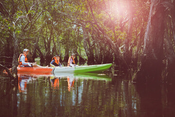 asian family sailing fresh water kayak in mangrove lagoon,kayaking is one of most popular activity...