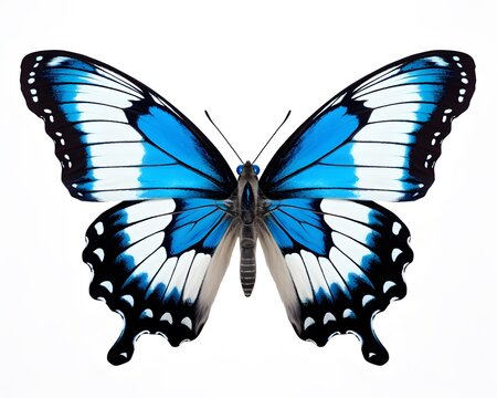 Blue butterfly isolated on white background, Clipping path included for easy extraction ai generated