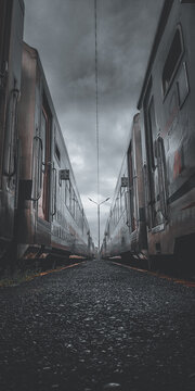 Beetwen in the train