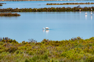 Conti Vecchi Nature Preserve - Sardinia - Italy