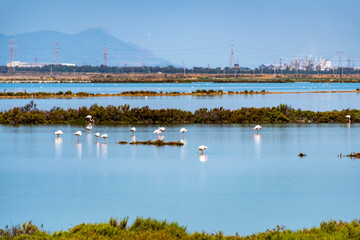 Conti Vecchi Nature Preserve - Sardinia - Italy