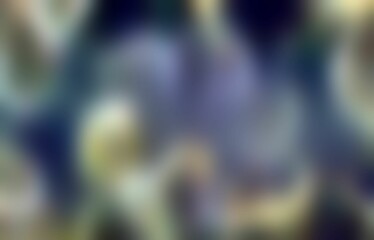 Computer Generated Background Graphics and Textures