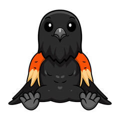 Cute redCute red winged black bird cartoon winged black bird cartoon