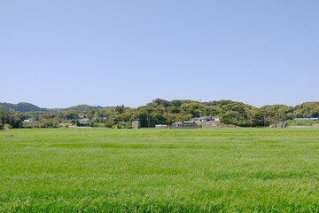 Fototapeta premium 壱岐の穏やかな風景