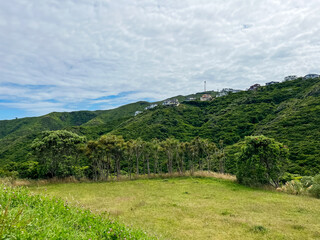 A View of the Brooklyn Wellington Wind Turbine from Elliott Park in Wellington, New Zealand
