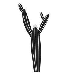 Silhouette Cactus Vector 