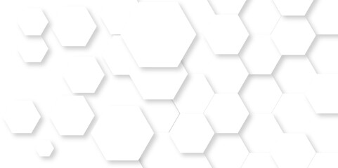 Abstract background with hexagon Background with white and black lines 3d Hexagonal structure futuristic white background and Embossed Hexagon , honeycomb white Background ,light and shadow ,Vector.