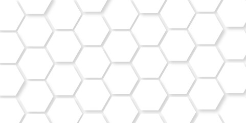 Abstract background with hexagon Background with white and black lines 3d Hexagonal structure futuristic white background and Embossed Hexagon , honeycomb white Background ,light and shadow ,Vector.