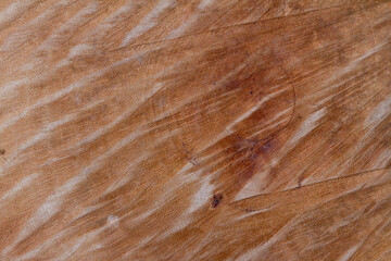 Texture of wood use as natural background