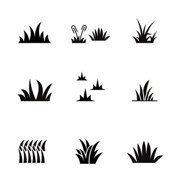 Wild grass and weed icon illustration vector.
