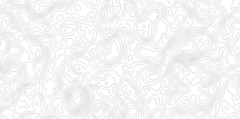 Panorama view gradient multicolor wave curve lines banner background design. Vector illustration. Black and white topography contour lines map isolated on white background.