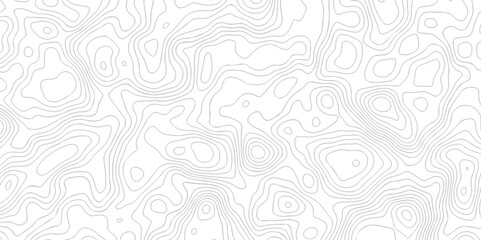 Panorama view gradient multicolor wave curve lines banner background design. Vector illustration. Black and white topography contour lines map isolated on white background.