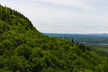 Fototapeta na wymiar vue sur le sommet d'une montagne avec une forêt dans la vallée lors d'une journée grise d'été