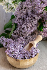 Obraz na płótnie Canvas Wooden Bowl with wooden spoon of fresh purple lilac petals with branch of blooming lilac. Lilac flowers fragrance. Concept for spa wellness and aromatherapy. Copy space Still life composition