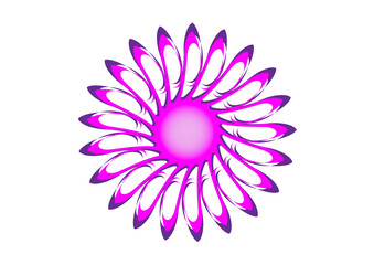 flower isolated on white