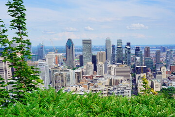 Fototapeta premium Montreal, Quebec Canada -07 12 2023: Aerial view of Montreal downtown from Royal Mount 