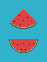 Watermelon slice illustration. 