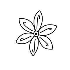 Doodle flower. Hand drawn line sketch flowers collection