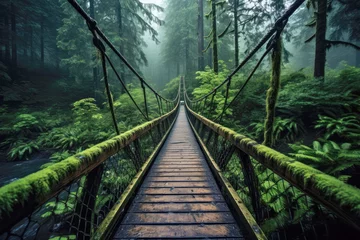 Fototapeten Wooden bridge in the mystic rainforest © Aleksandr Bryliaev