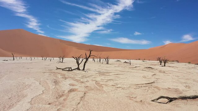 Close up drone flight through the Deadvlei in Namibia. You can see dead camel thorn trees.