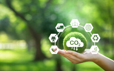 reducing carbon emissions carbon neutral concept Net zero emission target, green background with icons.