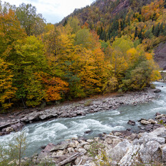 the beginning of autumn in a mountainous area, the sources of a mountain river, nature walks,...