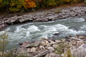 the beginning of autumn in a mountainous area, the sources of a mountain river, nature walks,...
