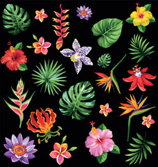Tropical Set of Flowers