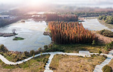 Aerial view, forests and lakes