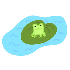 blue frog on the water