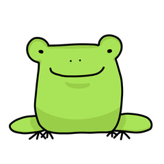 frog on a white background
