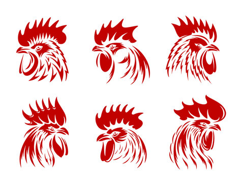 Red rooster, cockerel or cock head vector silhouettes of farm animals for butcher shop, poultry meat farm or sport team symbols. Fighting rooster or cock head side view with red feathers, beaks, combs