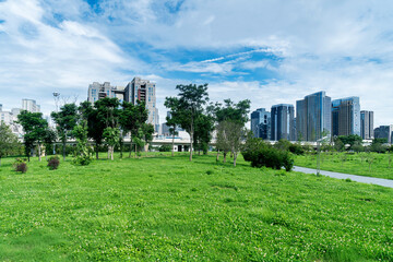 Obraz premium city park with modern building background in shanghai