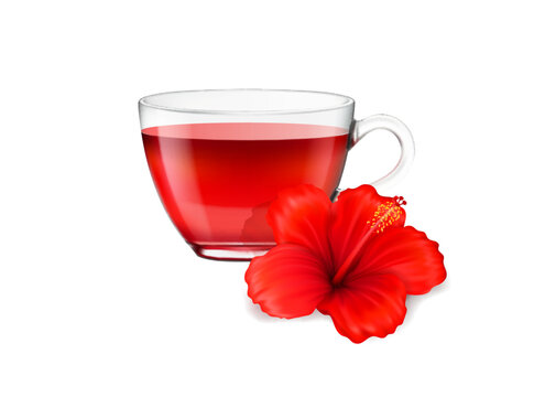 Fototapeta Realistic hibiscus tea cup and flower, herbal drink and organic beverage vector background. Hibiscus tea or red floral tea in glass mug, isolated realistic 3D flower of hibiscus for exotic carcade tea