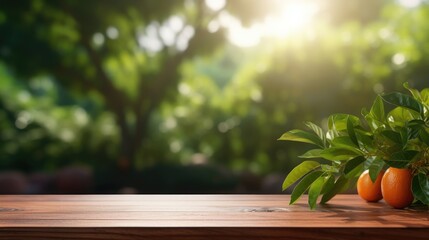 Empty wooden table with space over orange tree, orange field background for product display montage