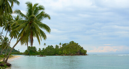 untouched beach  with coco palms on sandy beach and blue sea. Summer vacation and tropical in west...