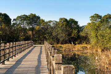Wooden bridge over little river in city park